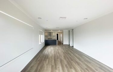 4 Pinatubo Street Truganina VIC 3029