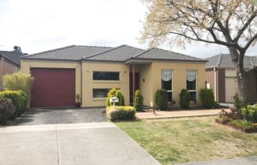 16 Brighton Pl, Craigieburn VIC 3064